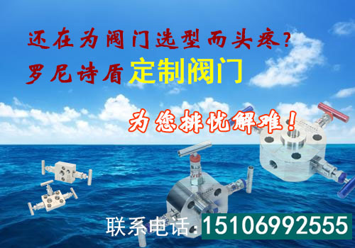 定制儀表閥門